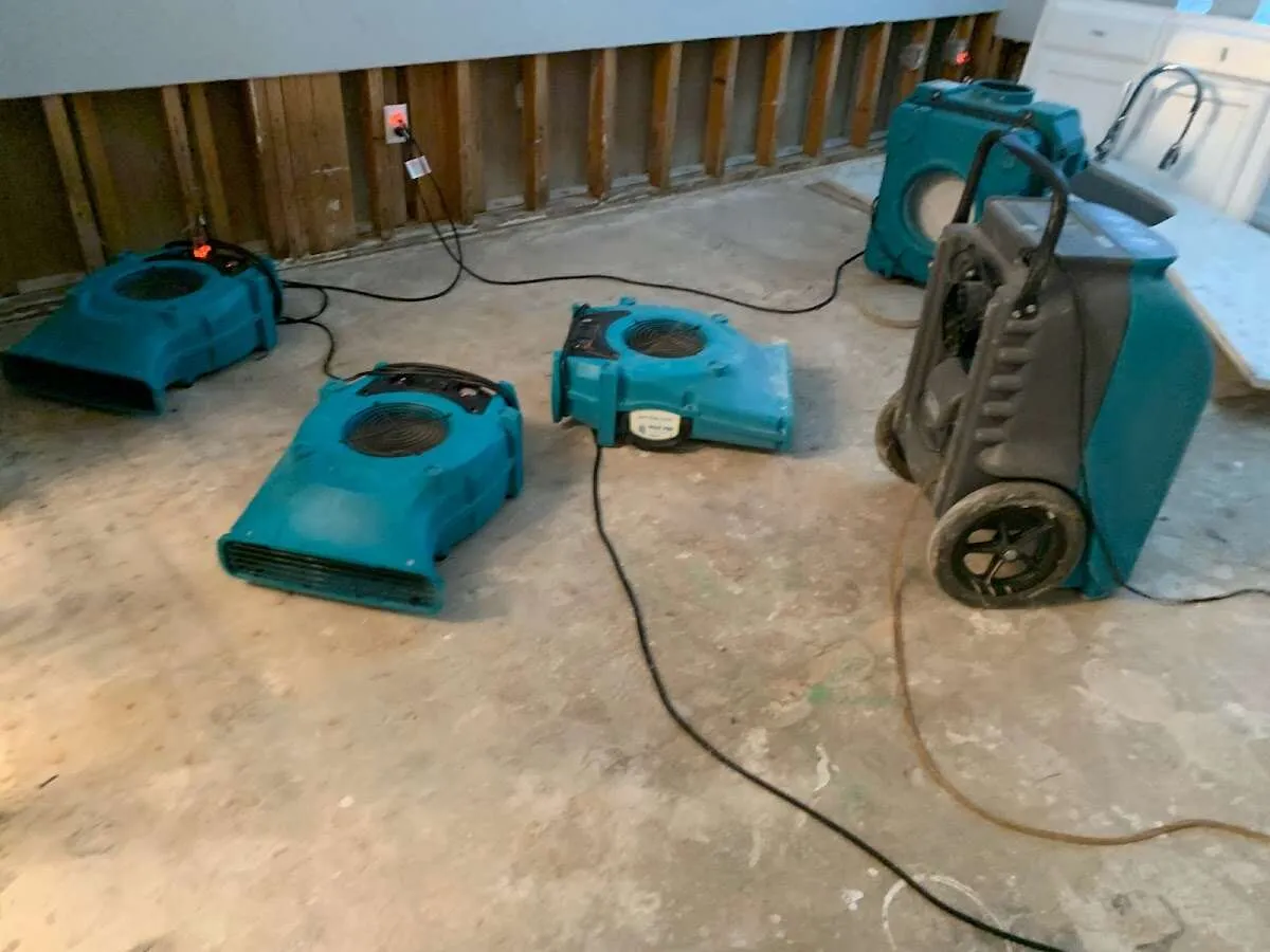 Odor Removal & Deodorization in Sharon Hill, PA